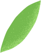 Footer Leaf