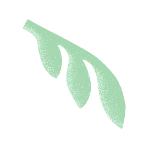 mint-full_leaf