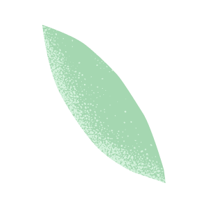 mint-single_leaf