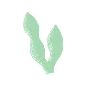 mint-two_leaf